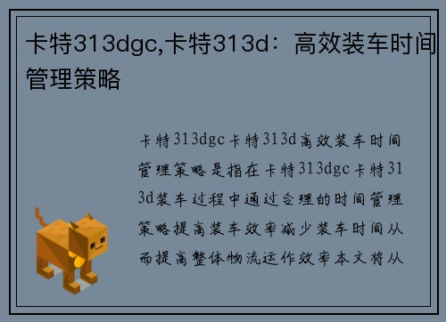 卡特313dgc,卡特313d：高效装车时间管理策略