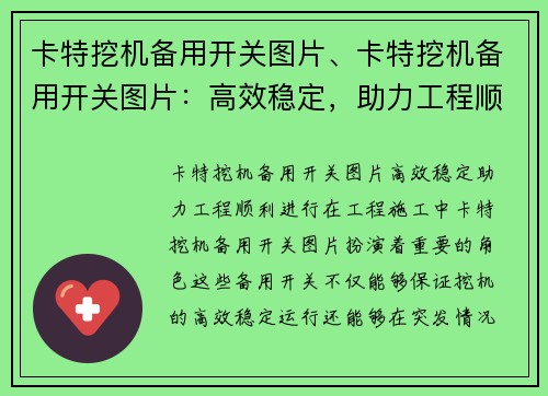 卡特挖机备用开关图片、卡特挖机备用开关图片：高效稳定，助力工程顺利进行