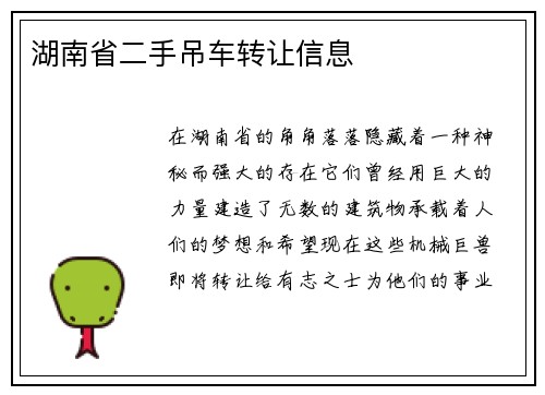 湖南省二手吊车转让信息